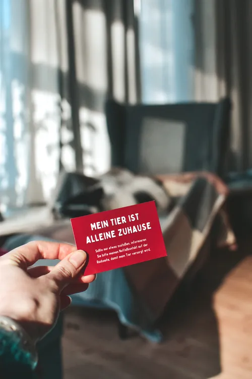 Notfallvorsorge für Hundebesitzer: So sorgst Du für Deinen Hund im Ernstfall vor