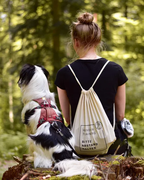 Reaktiver Hund: Was das bedeutet – und warum Du nicht allein bist